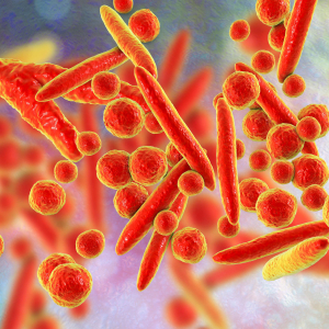 A Lasting Legacy: UAB Diagnostic Mycoplasma Lab sets the global standard for mycoplasmology